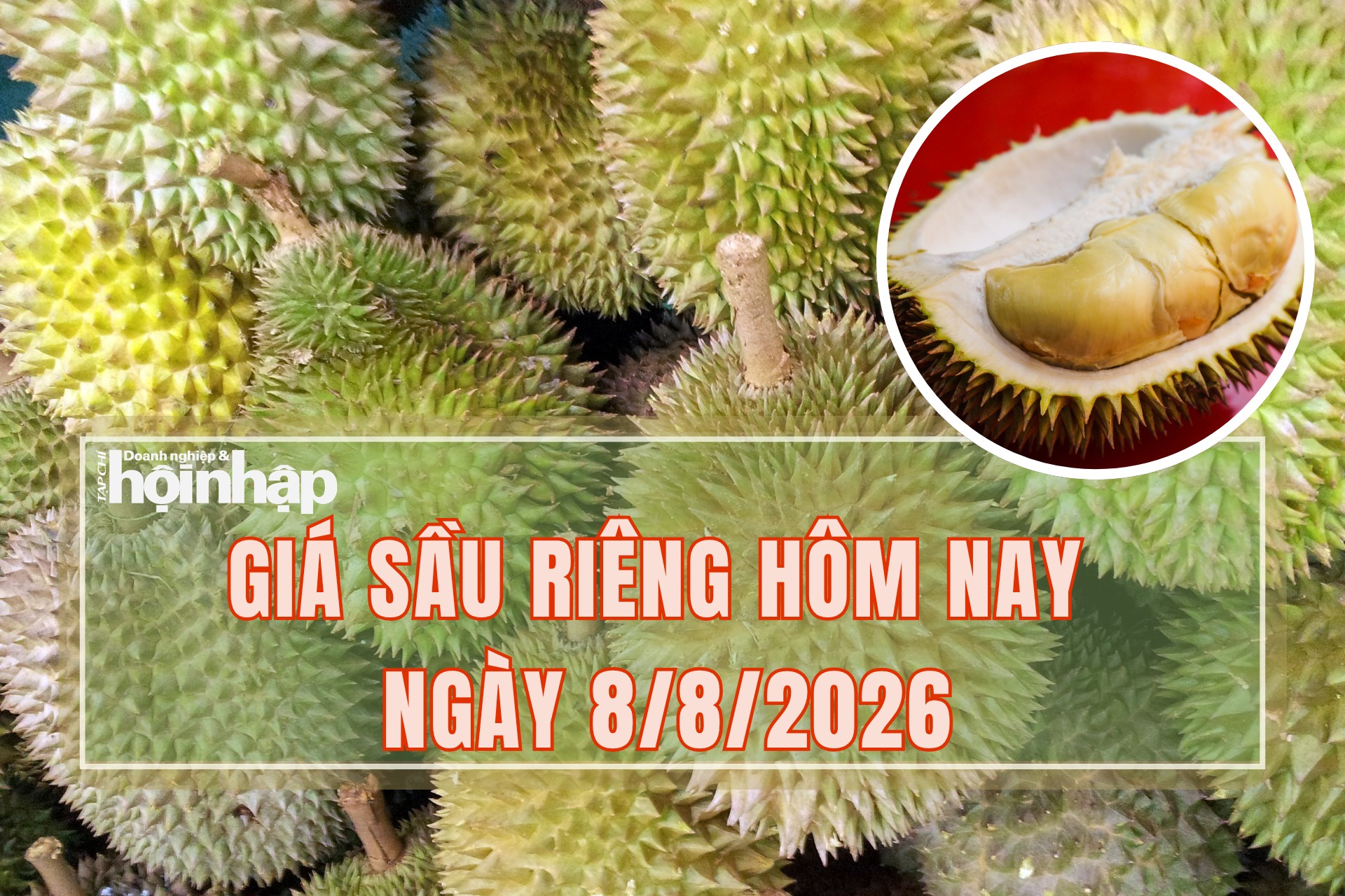 Giá sầu riêng hôm nay 8/8: Sầu riêng Ri6 giá vẫn đứng yên