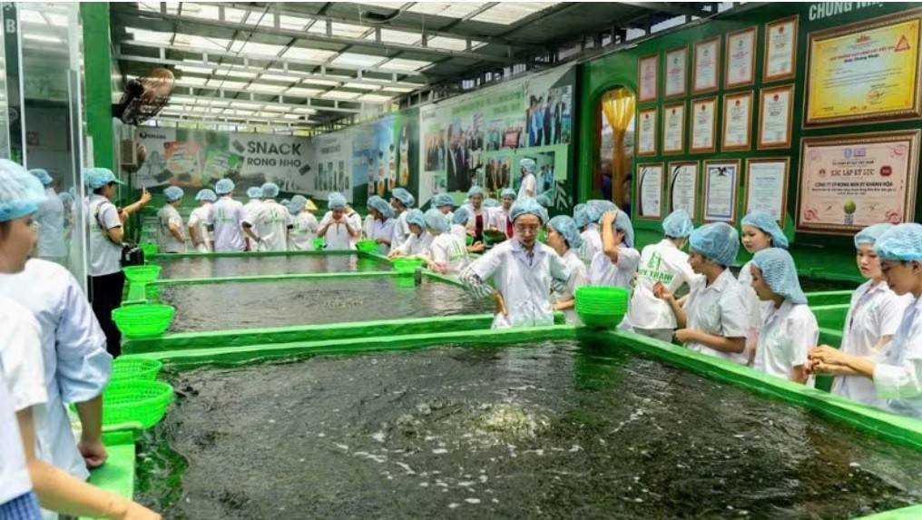 Các doanh nghiệp mong muốn thủ tục đầu tư cần công khai sớm tiêu chuẩn, quy trình, chi phí xử lý nước thải ngay từ giai đoạn nghiên cứu dự án. (Ảnh: DTGROUP)