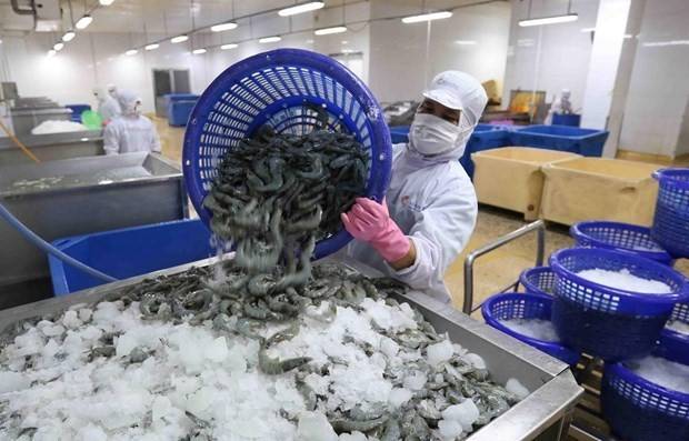 Từ một chuyến khảo sát trang trại nuôi tôm, cơ hội đang mở ra theo hướng tôm Việt Nam không chỉ được bán vào châu Âu mà còn có thể trở thành nguyên liệu trong những sản phẩm thực phẩm được sản xuất ngay tại thị trường này.