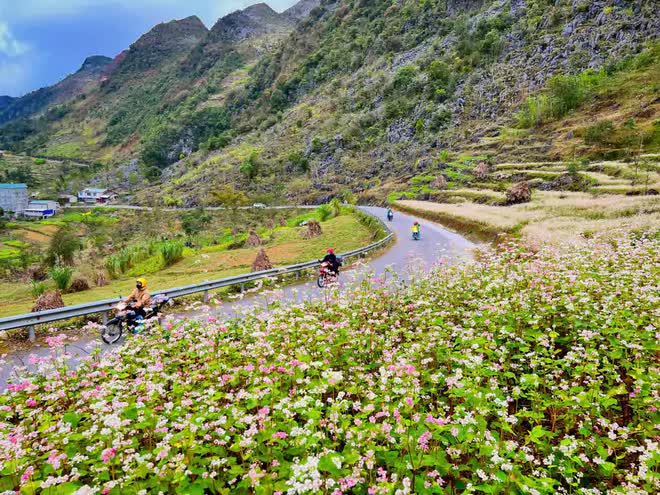 Tuyên Quang: Kinh tế đêm Đồng Văn - Từ hơn một triệu lượt khách đến cơ hội đầu tư mới