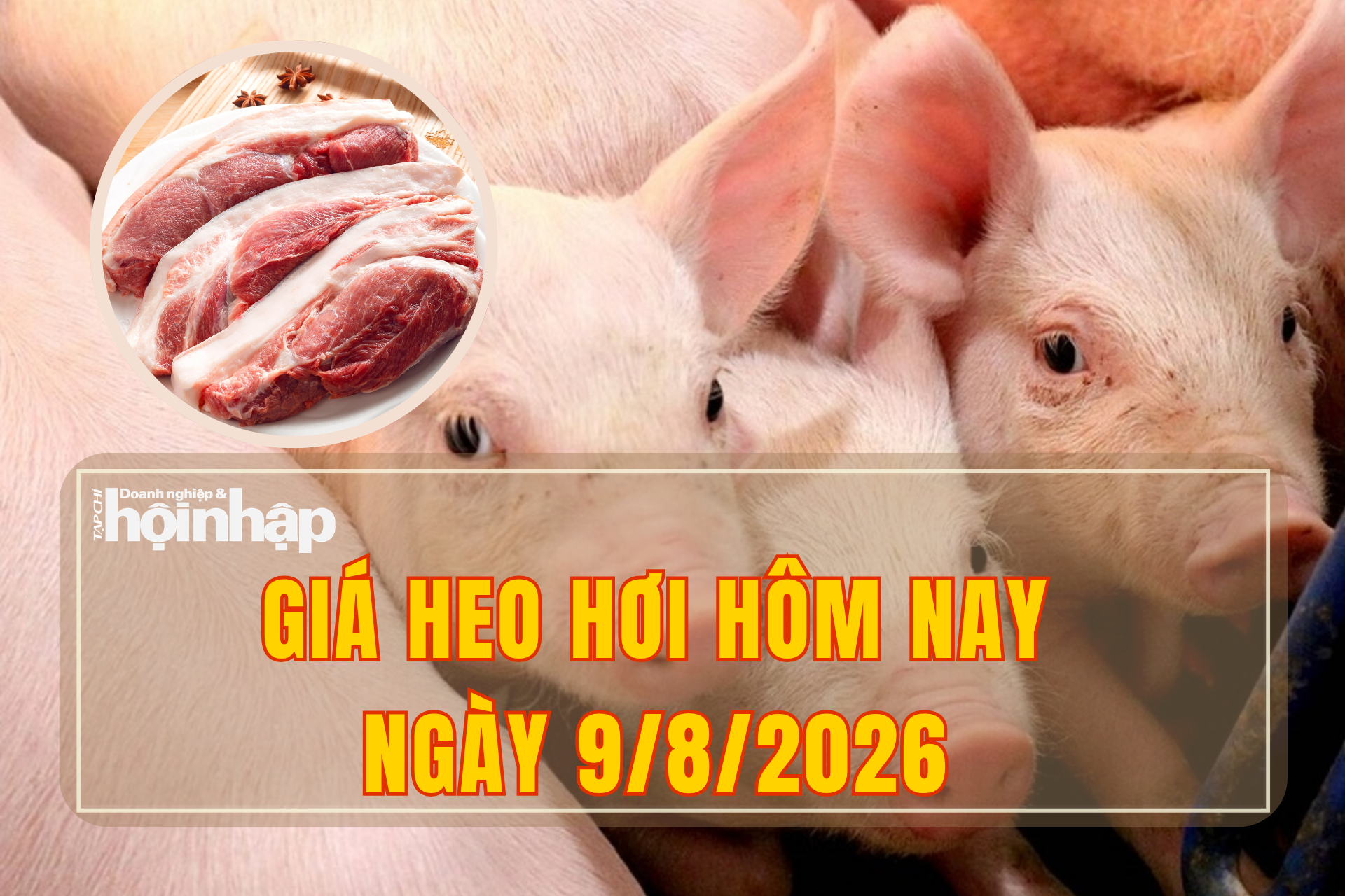 Giá heo hơi hôm nay 9/8/2026: Chưa dứt đà giảm, có nơi xuống mức 58.000 đồng/kg