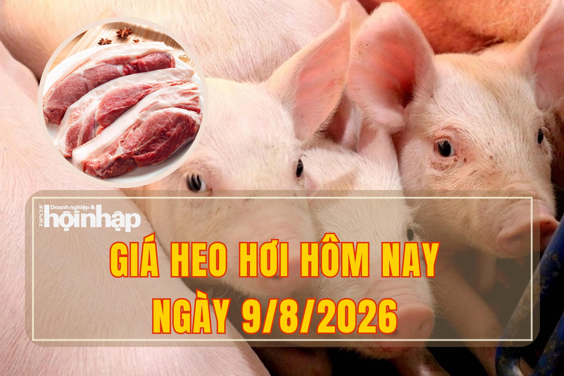 Giá heo hơi hôm nay 9/8/2026: Chưa dứt đà giảm, có nơi xuống mức 58.000 đồng/kg