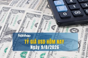 Tỷ giá USD hôm nay 9/8/2026: Đồng USD chịu sức ép