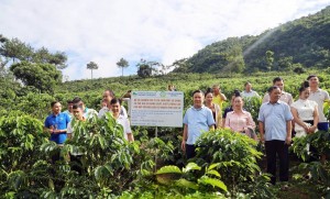 Sơn La nâng giá trị cà phê bằng khoa học công nghệ