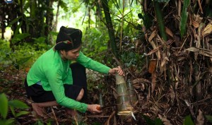 Theo người Tày vào rừng tìm “lộc trời” ở Lâm Thượng, Lào Cai