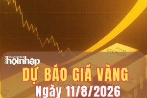 Dự báo giá vàng ngày mai 11/8: Có thể tiếp tục giảm?