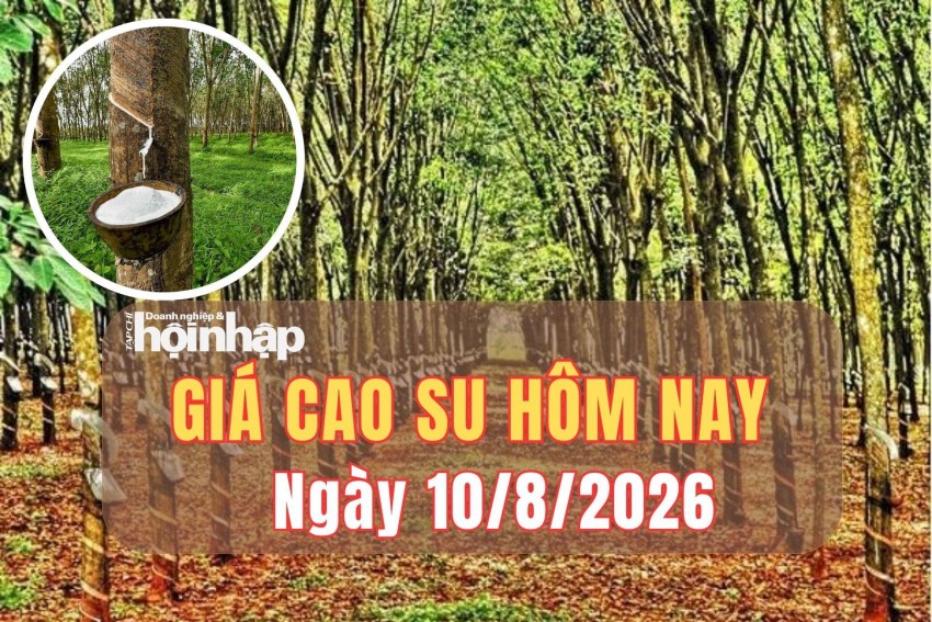 giá cao su
