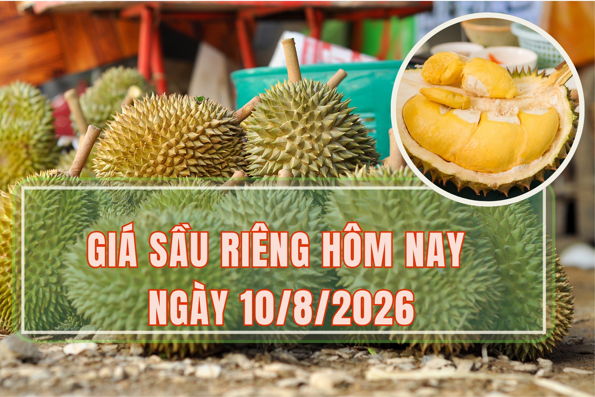 Giá sầu riêng hôm nay 10/8: Sầu riêng Thái giá giảm
