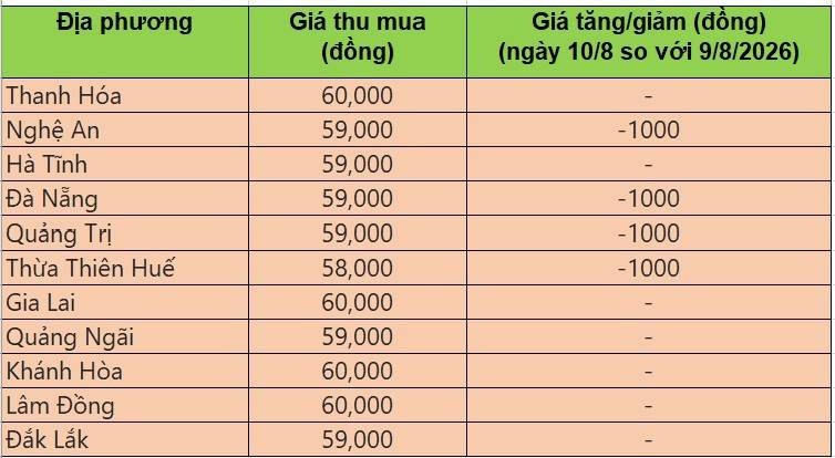giá heo hơi
