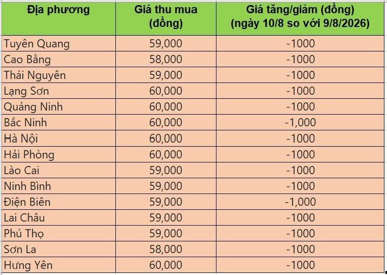 giá heo hơi