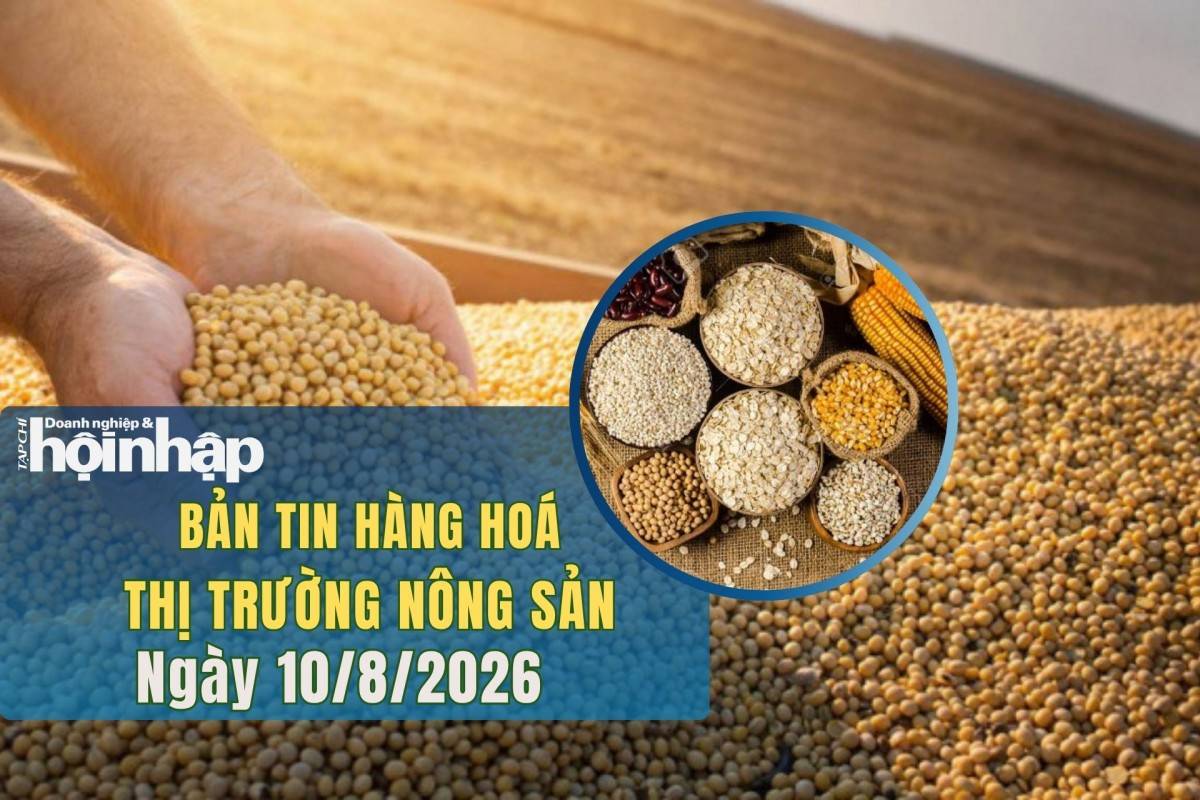 Thị trường nhóm nông sản 10/8/2026: