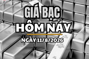 Giá bạc hôm nay 11/8/2026: Giá bạc trong nước và thế giới tiếp đà tăng mạnh
