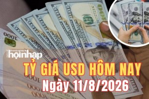 Tỷ giá USD hôm nay 11/8/2026: Đồng USD tăng giá