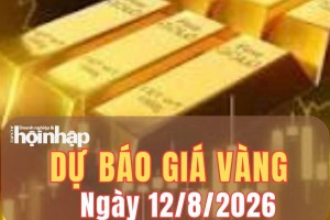 Dự báo giá vàng ngày mai 12/8: Khó giữ đỉnh, nguy cơ giảm