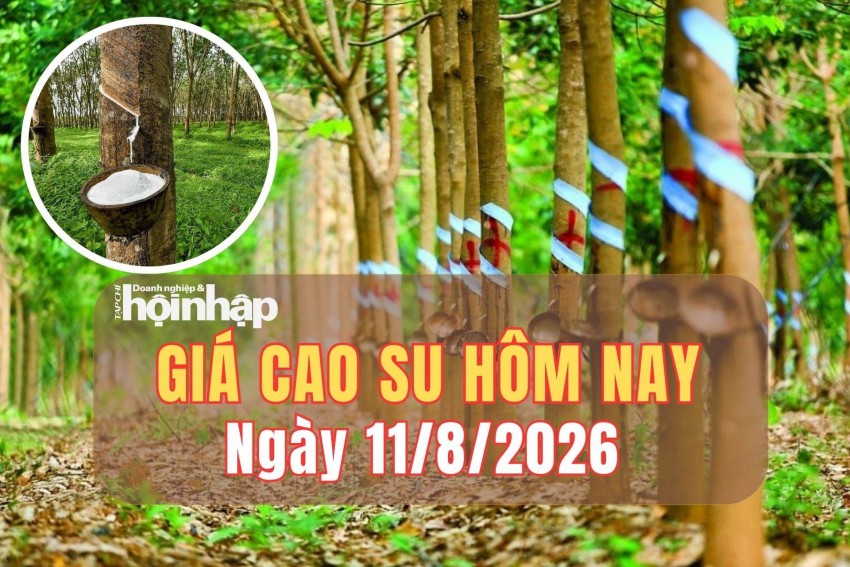 giá cao su