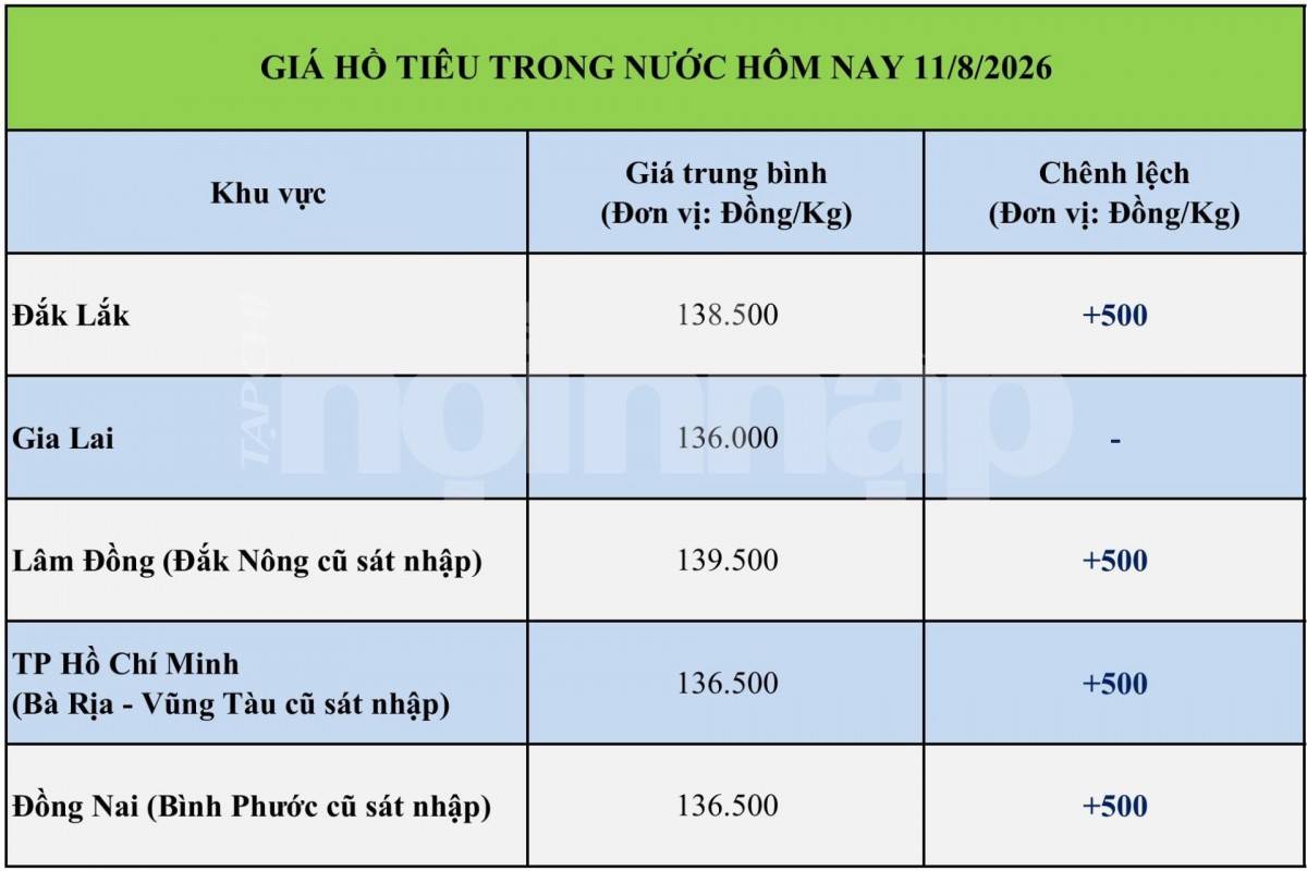 Giá tiêu hôm nay 11/8/2026: