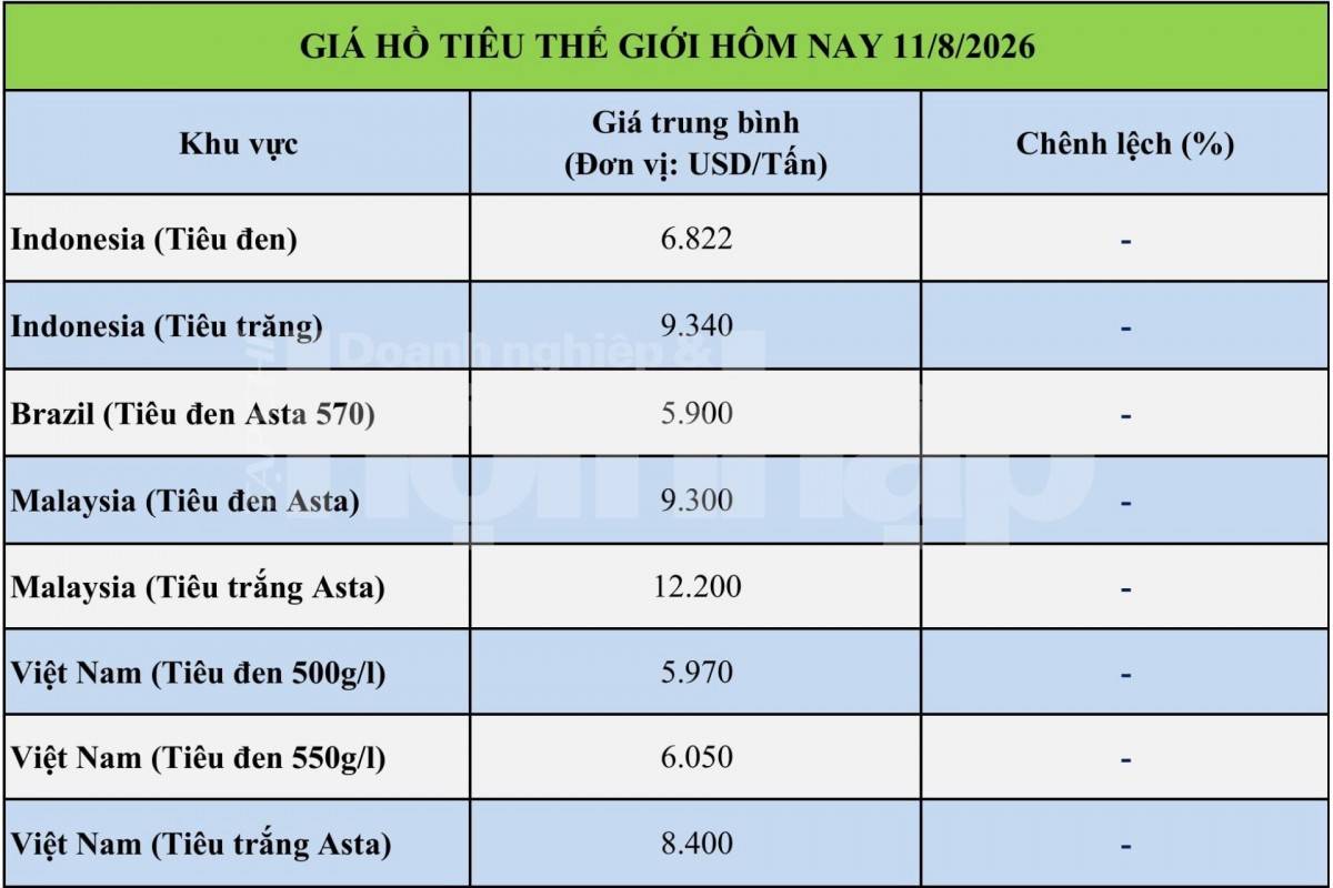 Giá tiêu hôm nay 11/8/2026: