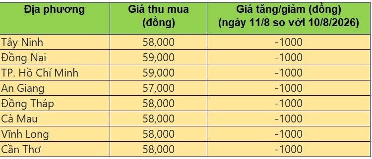 giá heo hơi