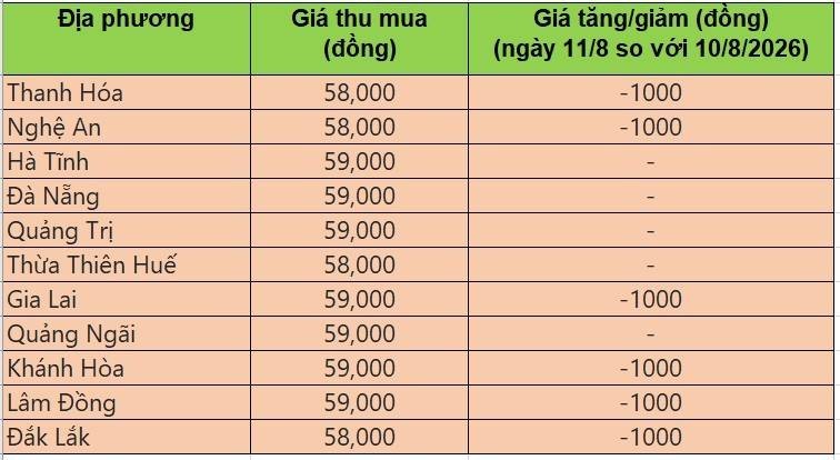 giá heo hơi