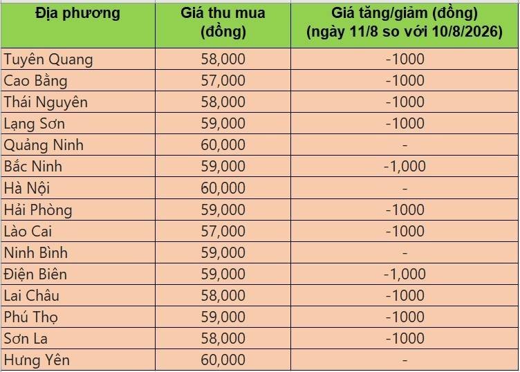 giá heo hơi