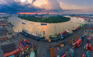 Nhiều doanh nghiệp mất tư cách đại chúng vì thiếu điều kiện
