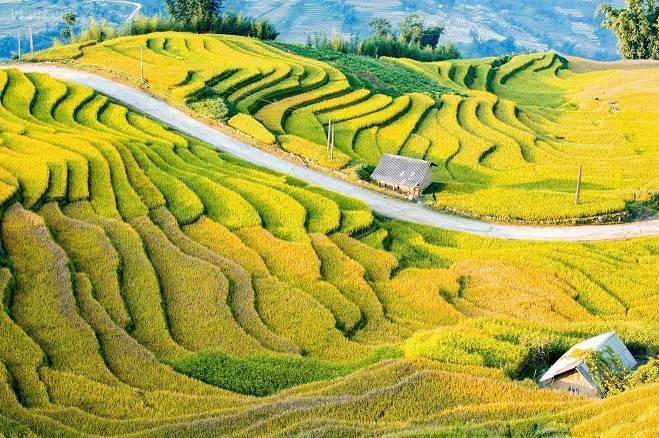 Y Tý (Lào Cai) vào mùa hội: Từ “mùa vàng” đến mùa thu nhập của người dân