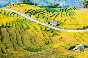 Y Tý (Lào Cai) vào mùa hội: Từ “mùa vàng” đến mùa thu nhập của người dân