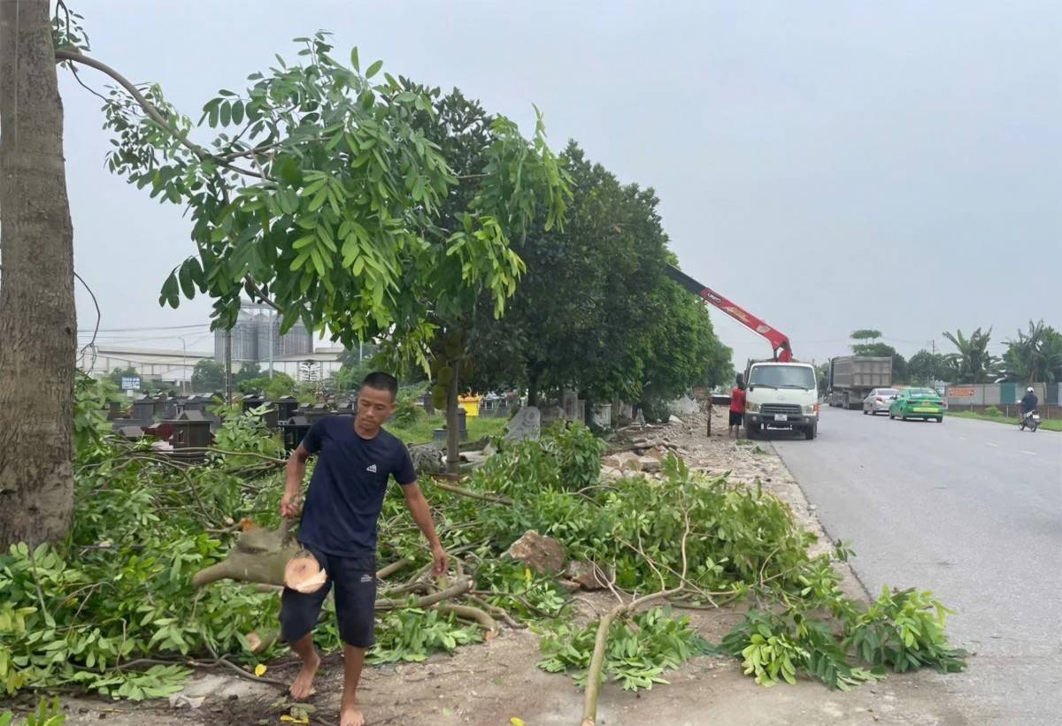 Phú Thọ: 98,5% mặt bằng Quốc lộ 2 Vĩnh Yên – Việt Trì đã được bàn giao
