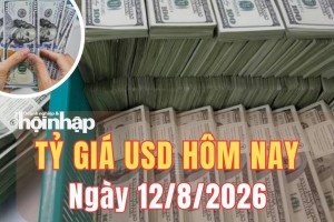 Tỷ giá USD hôm nay 12/8/2026: Đồng USD thế giới đi ngang