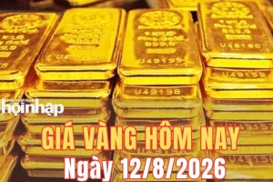 Giá vàng hôm nay 12/8/2026: Vàng trong nước giảm mạnh