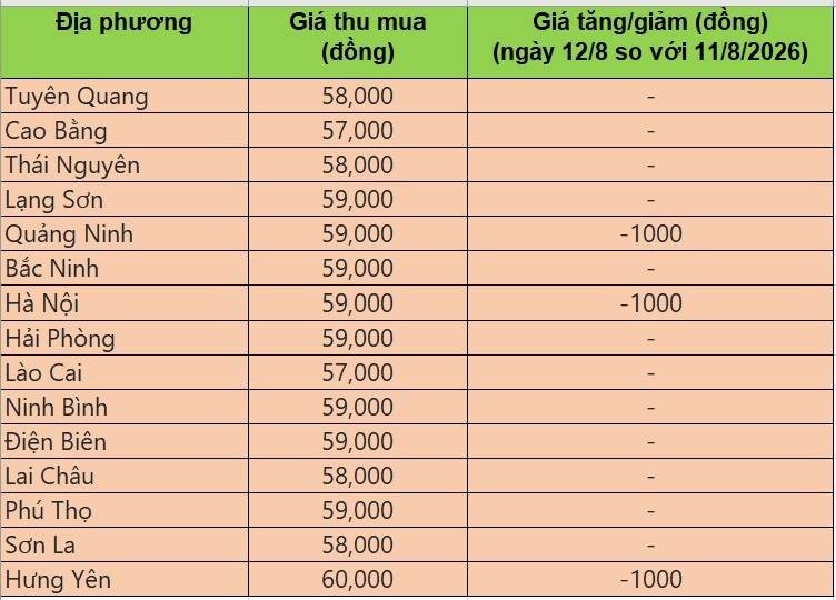 giá heo hơi