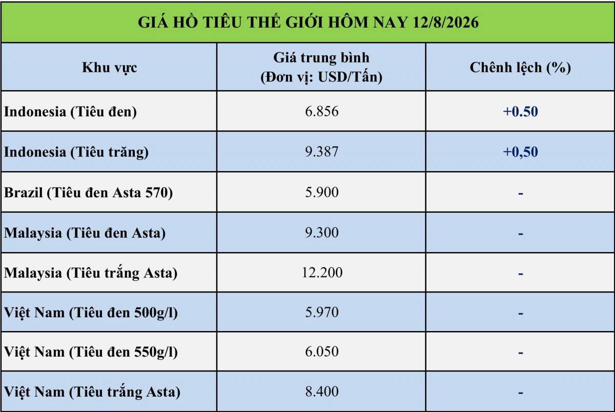 Giá tiêu hôm nay 12/8/2026: