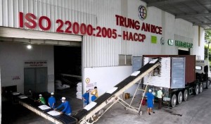 CTCP Nông nghiệp Công nghệ cao Trung An đối mặt áp lực tài chính khi doanh thu lao dốc
