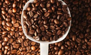 Giá cà phê biến động trái chiều: Robusta chịu sức ép từ nguồn cung Việt Nam