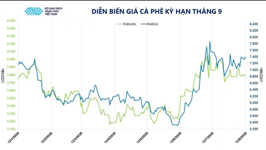 Giá cà phê biến động trái chiều: Robusta chịu sức ép từ nguồn cung Việt Nam