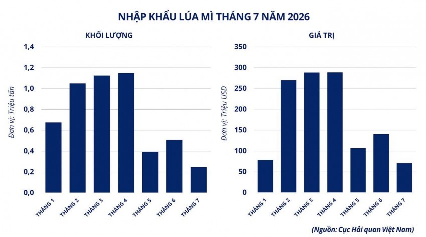 Giá lúa mì giảm sâu trước 