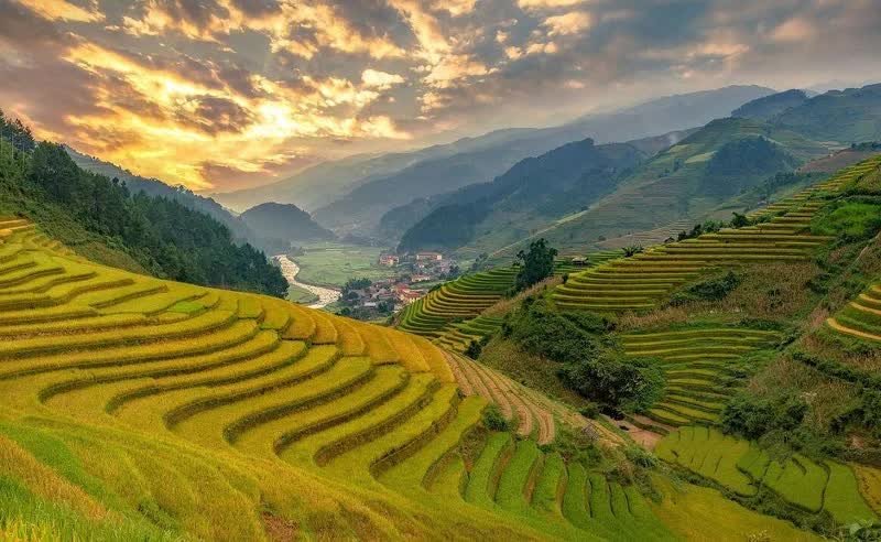 Tú Lệ mùa vàng: Có một nàng thơ đang đợi dưới chân Khau Phạ