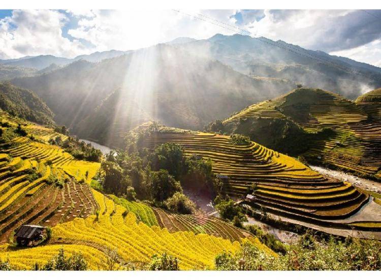 Tú Lệ mùa vàng: Có một nàng thơ đang đợi dưới chân Khau Phạ
