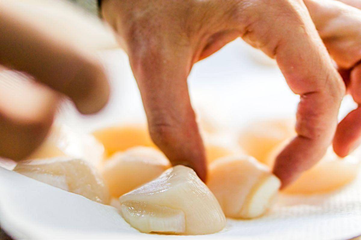 Xuất khẩu sò điệp tăng tốc, mở rộng dư địa trên thị trường quốc tế