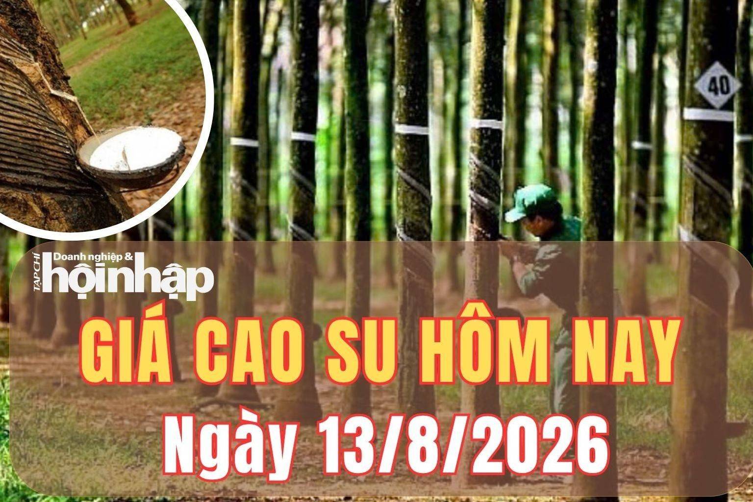Giá cao su hôm nay 13/8/2026: Giá cao su RSS3 trên sàn Tokyo bất ngờ tăng vọt 3,37%