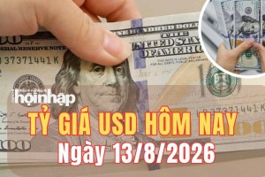 Tỷ giá USD hôm nay 13/8/2026: Đồng USD lấy lại đà tăng