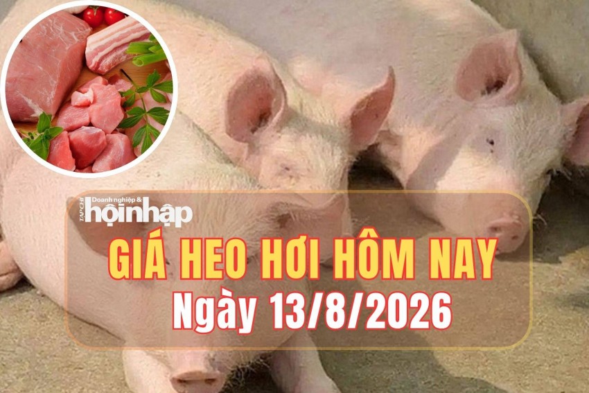 Giá heo hơi hôm nay 13/8/2026: Giá heo hơi tiếp tục giảm, giá cao nhất cả nước còn 59.000 đồng/kg