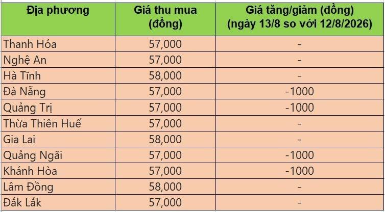Bảng giá heo hơi tại miền Trung - Tây Nguyên hôm nay 13/8/2026
