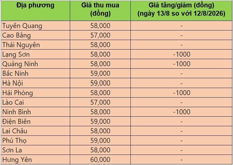 Bảng giá heo hơi tại miền Bắc hôm nay 13/8/2026