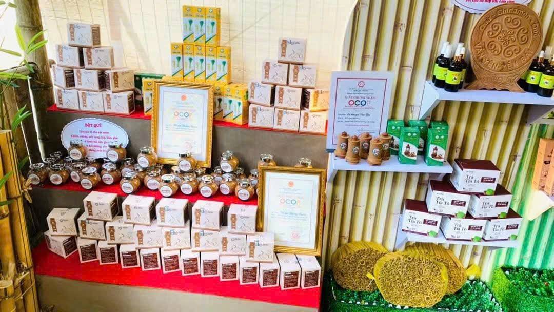 Các sản phẩm chế biến từ Quế được xuất khẩu sang các quốc gia và vùng lãnh thổ trên thế giới