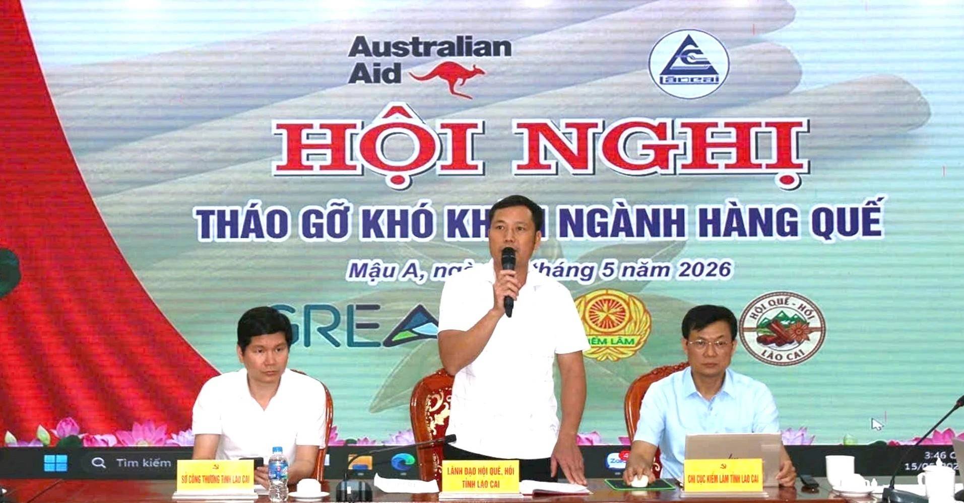 Quế Lào Cai: Khi giá trị một lô hàng bắt đầu từ dữ liệu vùng nguyên liệu