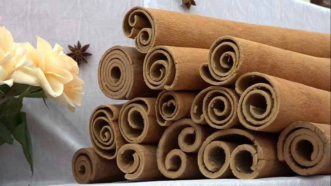 Quế Lào Cai: Khi giá trị một lô hàng bắt đầu từ dữ liệu vùng nguyên liệu