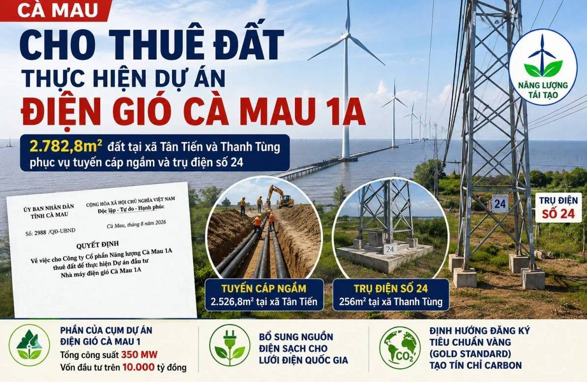 Cà Mau cho thuê đất làm dự án điện gió Cà Mau 1A
