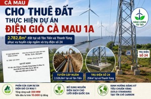 Cà Mau cho thuê đất làm dự án điện gió Cà Mau 1A