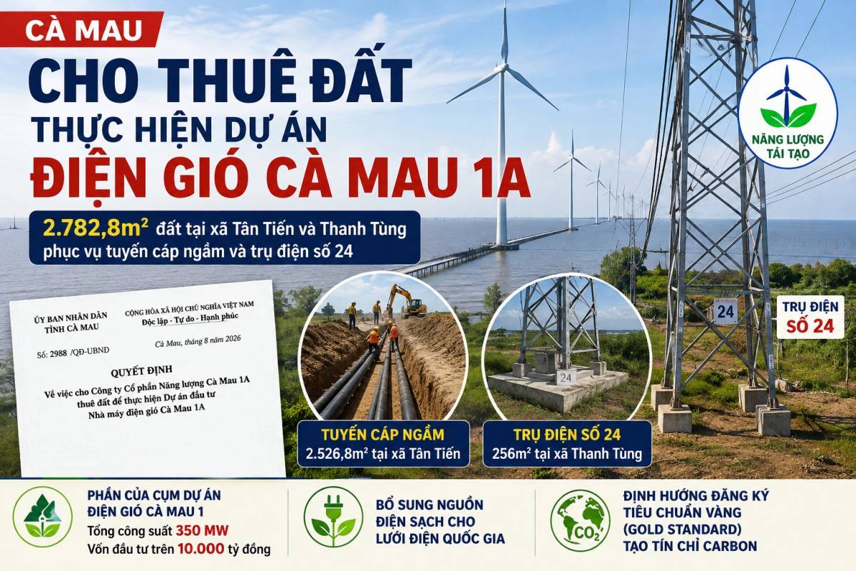 dự án điện gió Cà Mau 1A và hạng mục hạ tầng năng lượng tái tạo tại Cà Mau